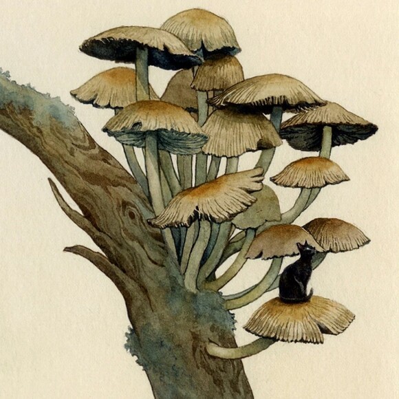 mushroomlog